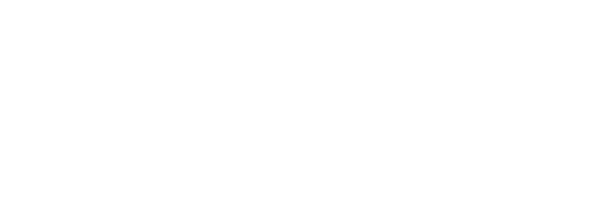 RT Insights Logo white